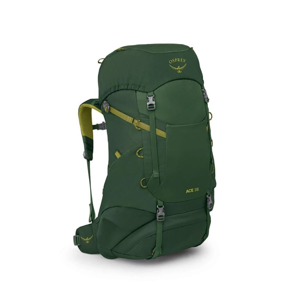 Osprey Ace 38 - Kid's Hiking Backpack - Green Canopy Matcha Green Hero