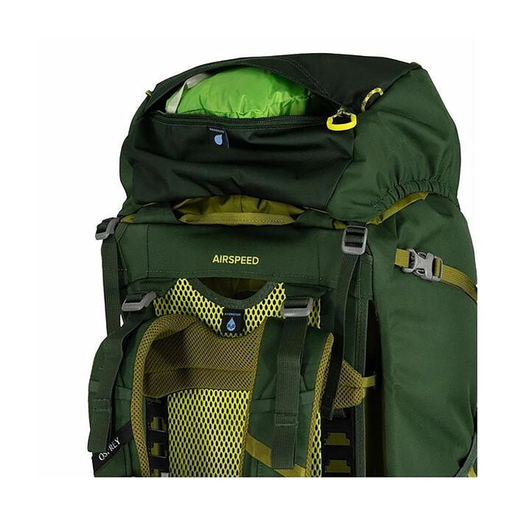 Osprey Ace 50 - Kid's Hiking Backpack - Green Canopy/Matcha Green Details 4