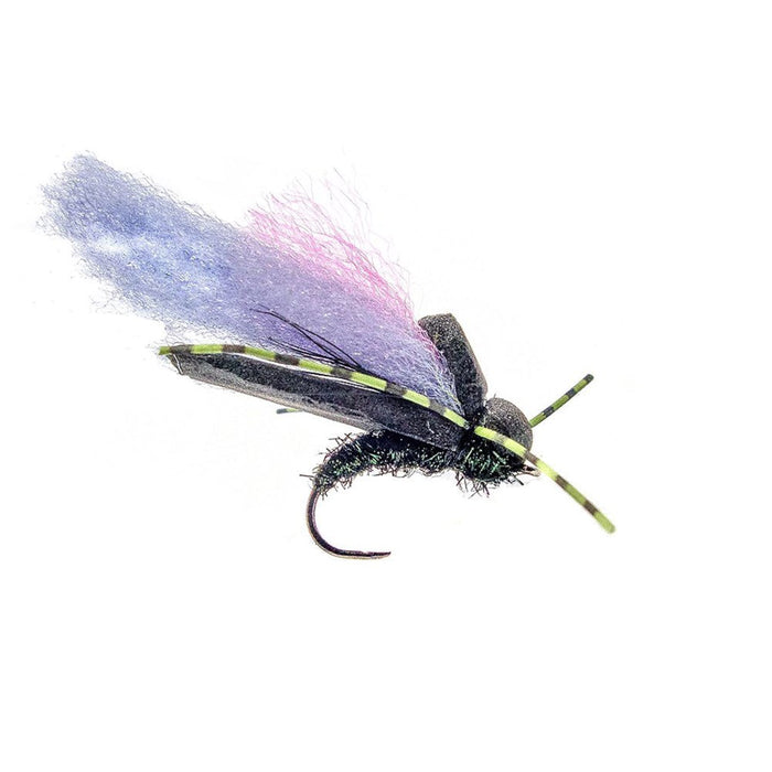 Category 3 Woomfah - Black