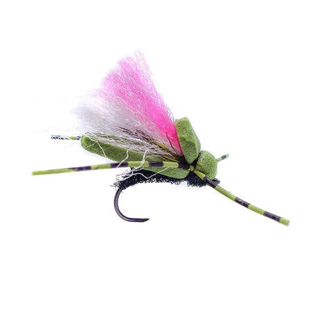 Category 3 Woomfah - Olive
