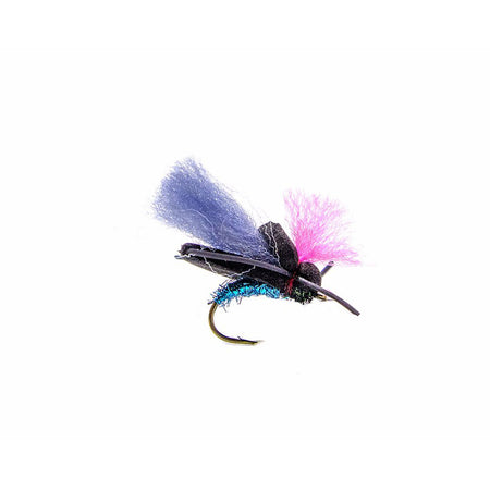 Category 3 Blowfly