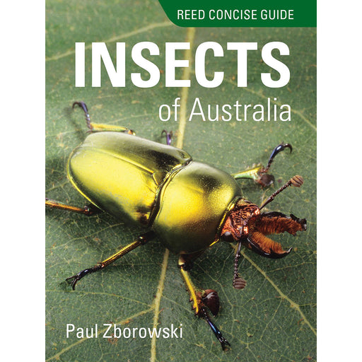 Reed Concise Guide - Insects of Australia cover