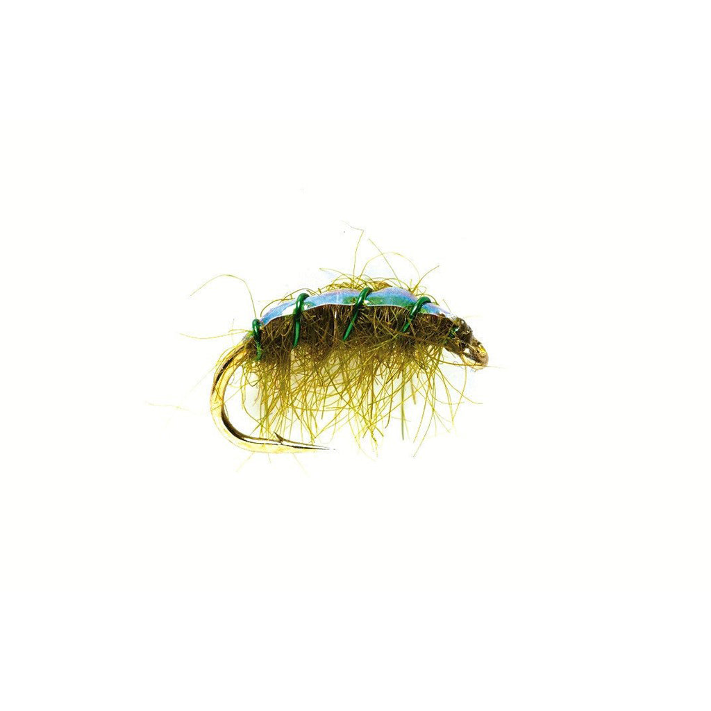 Fulling Mill Flashback Shrimp