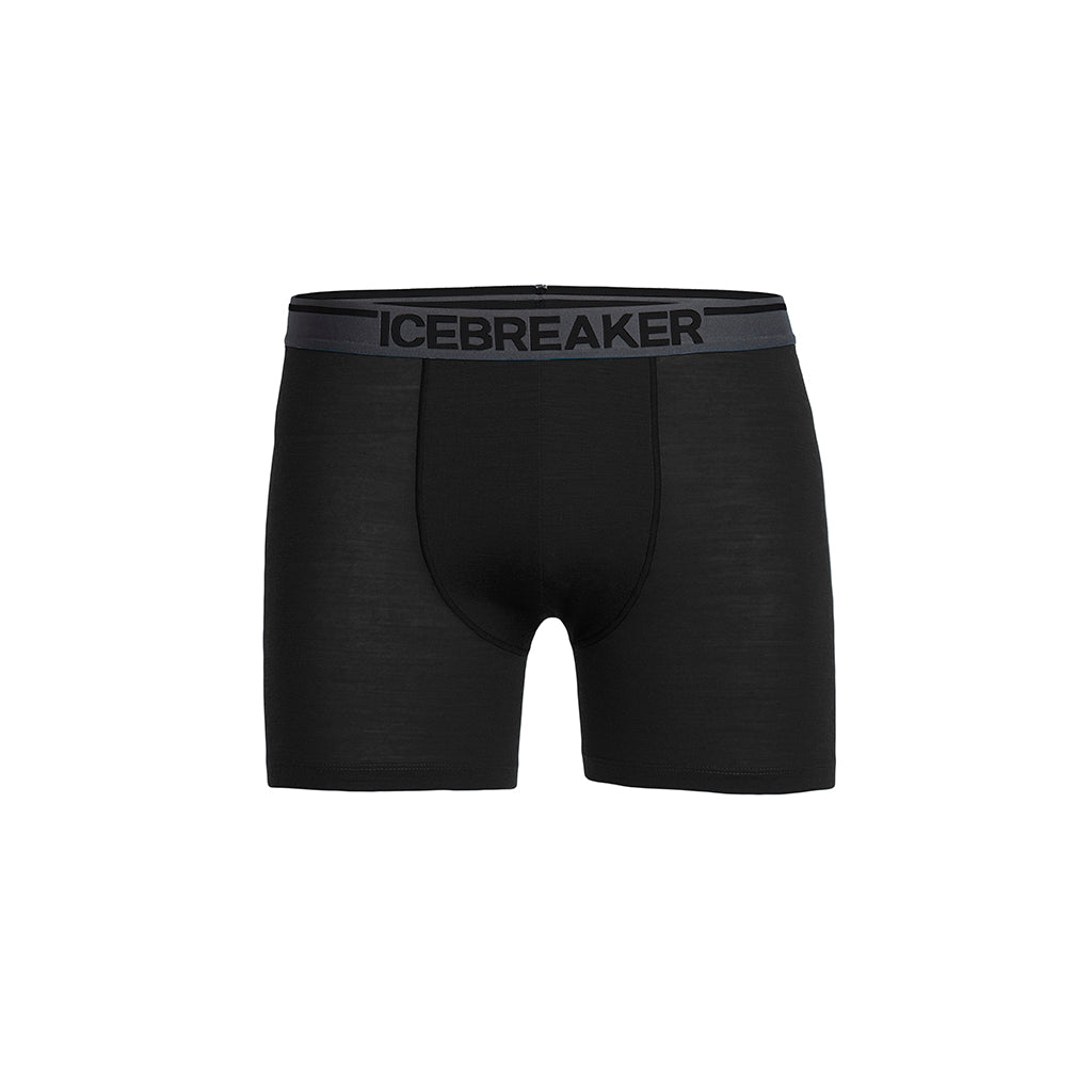Icebreaker Men's Anatomica Merino Boxers — view 2