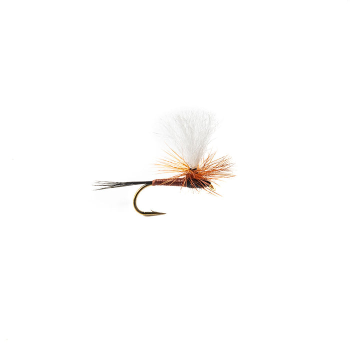 Category 3 Tricky Situation - Dry Fly