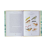 A Temporary Refuge: Fourteen Seasons with Wild Summer Steelhead by Lee Spencer - Inside 6