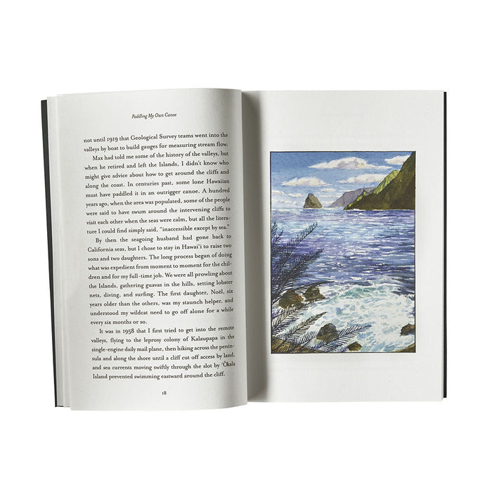 Paddling My Own Canoe - detail 2