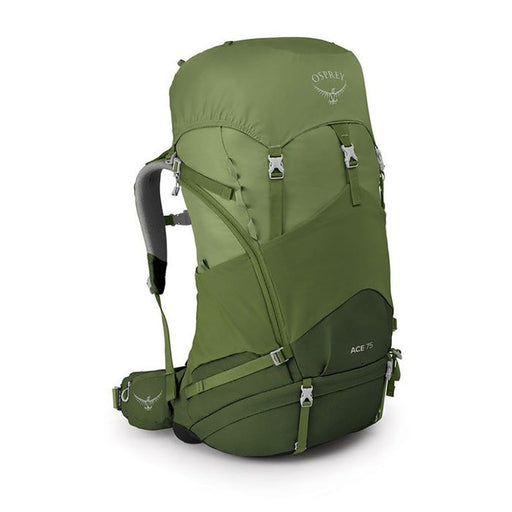 Osprey Ace Youth Backpack - 75l venture green hero