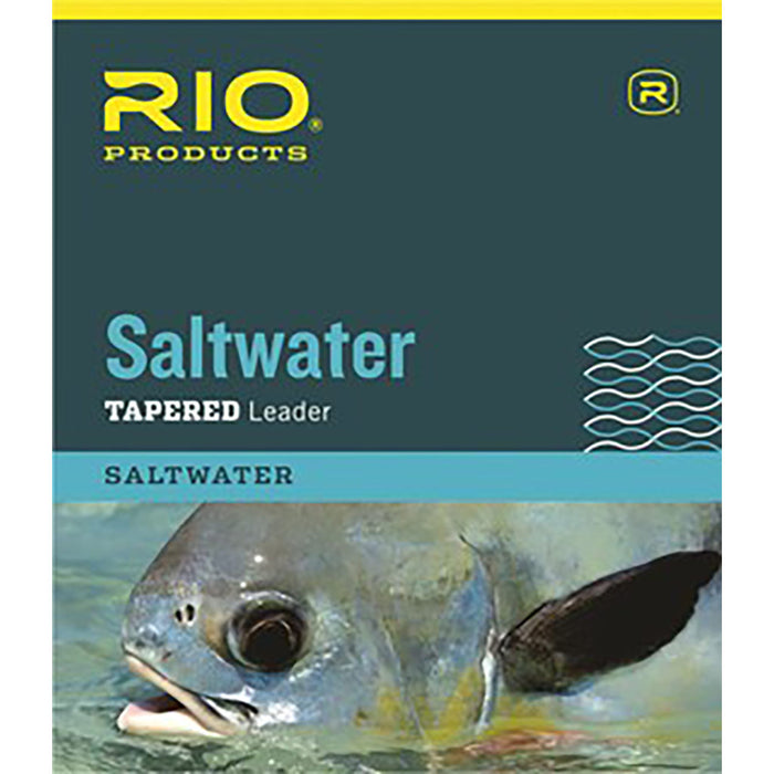 Rio Saltwater Knotless Tapered Leader - 10ft