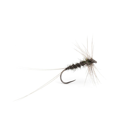 Fulling Mill Christopher Bassano's Black Spinner