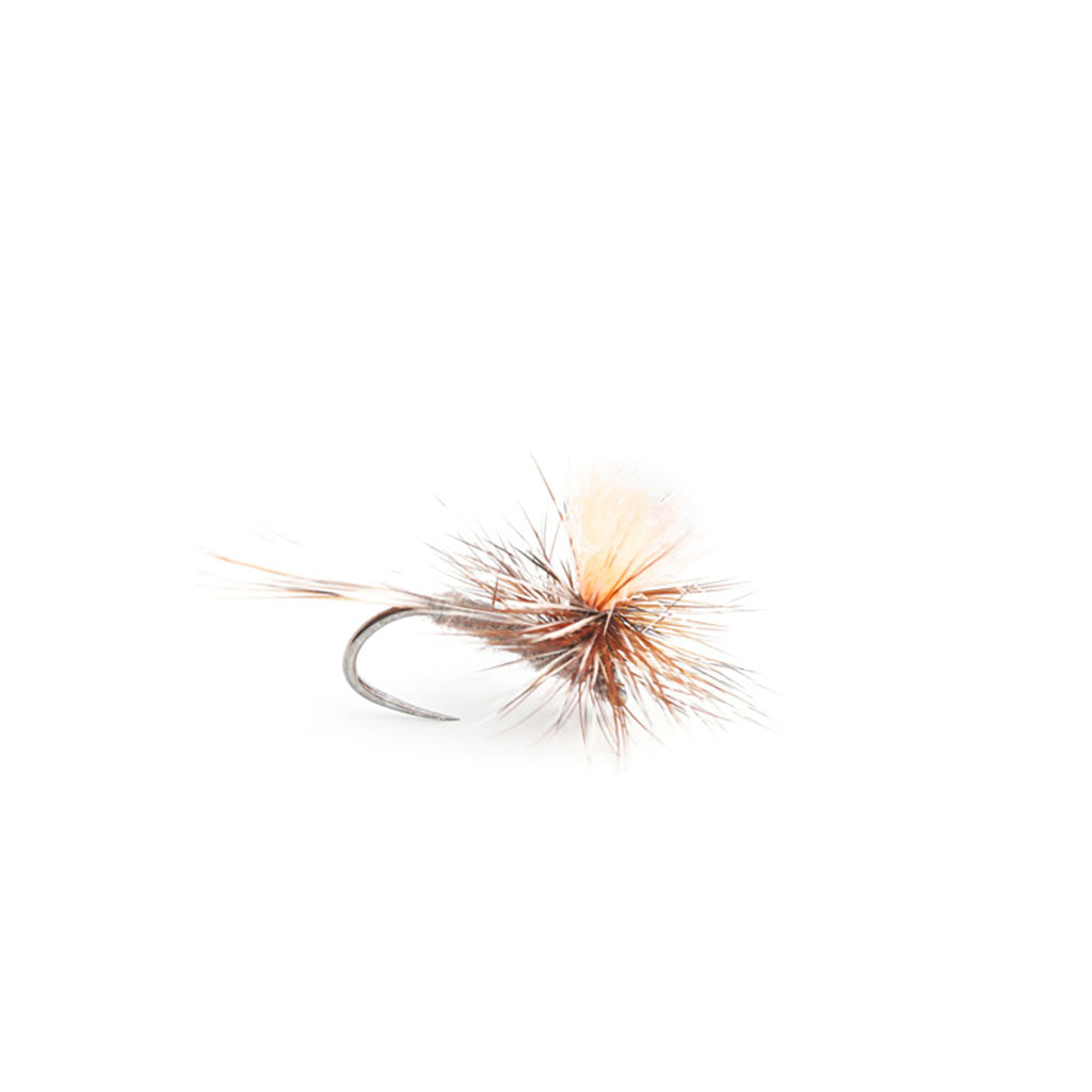 Fulling Mill Christopher Bassano's Para Adams Fluoro Post