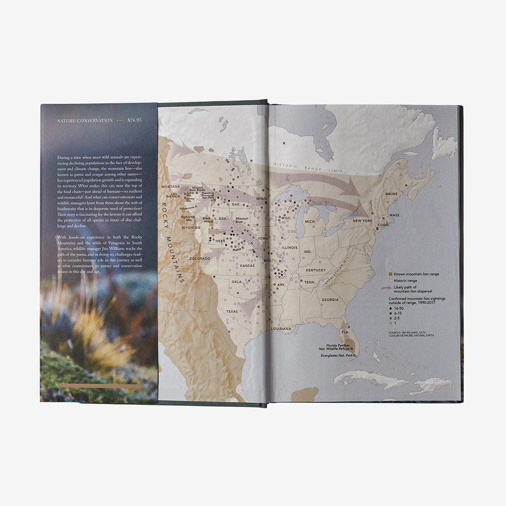 Path of the Puma - The Remarkable Resilience of the Mountain Lion - detail 1